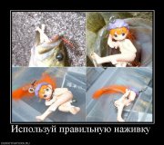 647308_ispolzuj-pravilnuyu-nazhivku.jpg