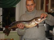 DSC07986.jpg