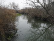 SAM_3185.JPG