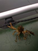 20112011006.jpg