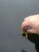 20112011007.jpg