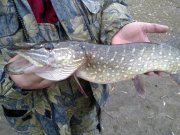 20112011013.jpg