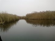 20112011009.jpg