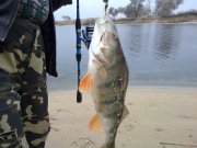 20112011266н.JPG