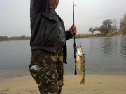 20112011267н.JPG