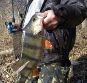 23112011270н.JPG