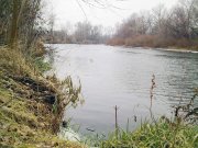26112011272.jpg