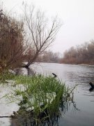 26112011274.jpg