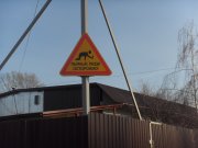 SDC15711.JPG