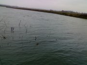 241120111533.jpg