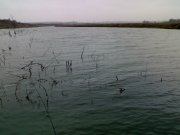 241120111534.jpg