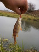 PB270525.jpg
