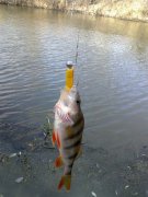 27112011021.jpg