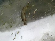 27112011017.jpg