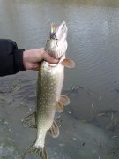 27112011018.jpg