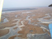 DSC06553.jpg