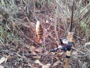 20111204_143740.jpg