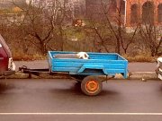 Фото0693.jpg