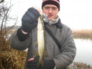 IMG_4393.jpg