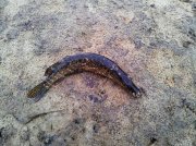 20111210_092313.jpg