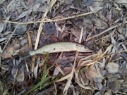 20111210_104258.jpg