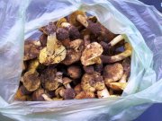 20111210_145054.jpg