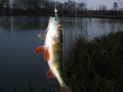 IMG_8262.JPG