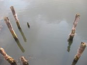 IMG_0320.jpg