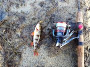 20111211_124420.jpg