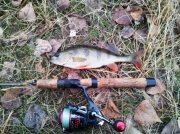 20111211_153525.jpg