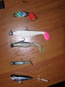 PC140058.jpg