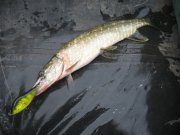 IMG_0107.JPG