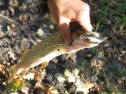 IMG_9842.JPG