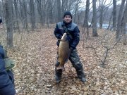 031220115279 сазан 11.500.jpg