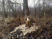 101220115306.jpg