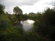 DSCN0086.jpg
