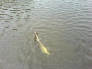 DSC03180.JPG