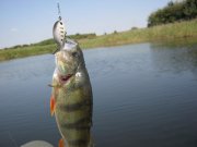 IMG_0170.jpg