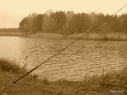 IMG_0007.JPG
