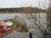 IMG_0018.JPG