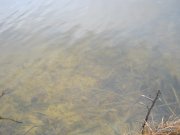 IMG_0022.JPG