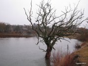 IMG_0050.JPG