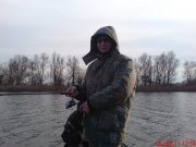 DSC00784.jpg