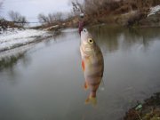 IMG_4993_новый размер.jpg