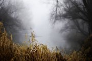 _DSC0020.jpg