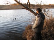 IMG_2787.jpg