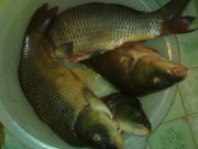 301220111568.jpg