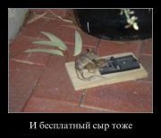 1325235662_demotivatory_22.jpg