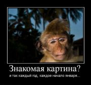 1325235664_demotivatory_03.jpg