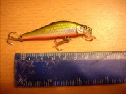 DSCN8072.jpg